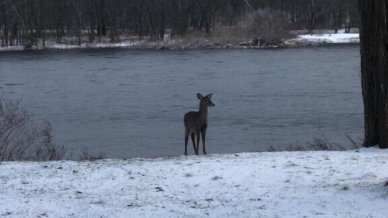 Photo of Others in Matamoras