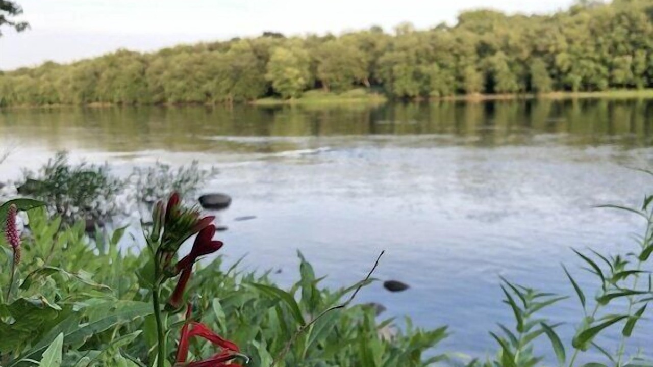 Photo of Others in Matamoras