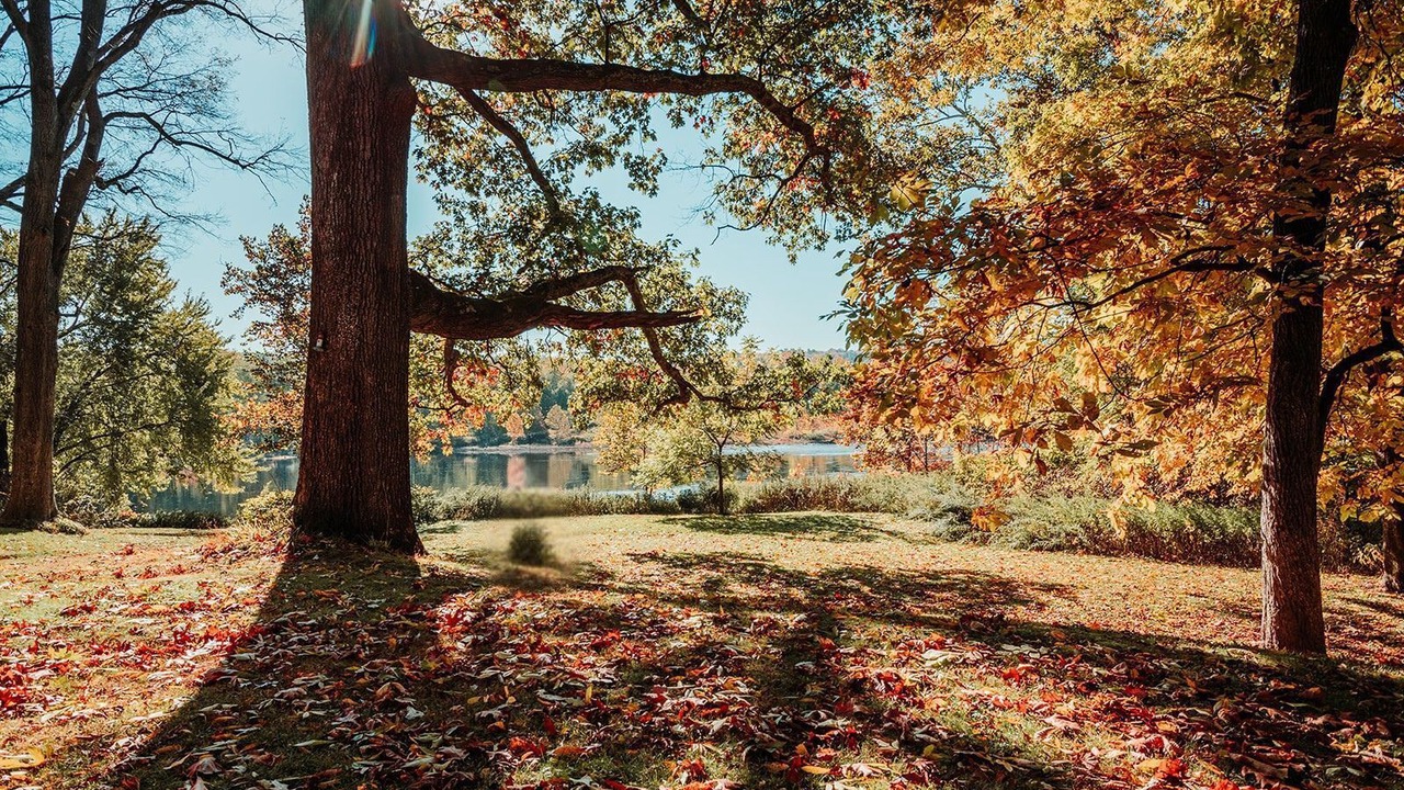 Photo of Others in Matamoras