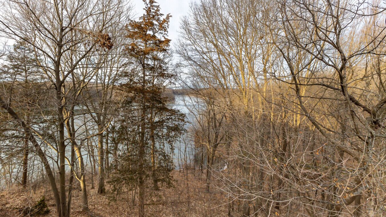 Photo of Others in The Galena Territory