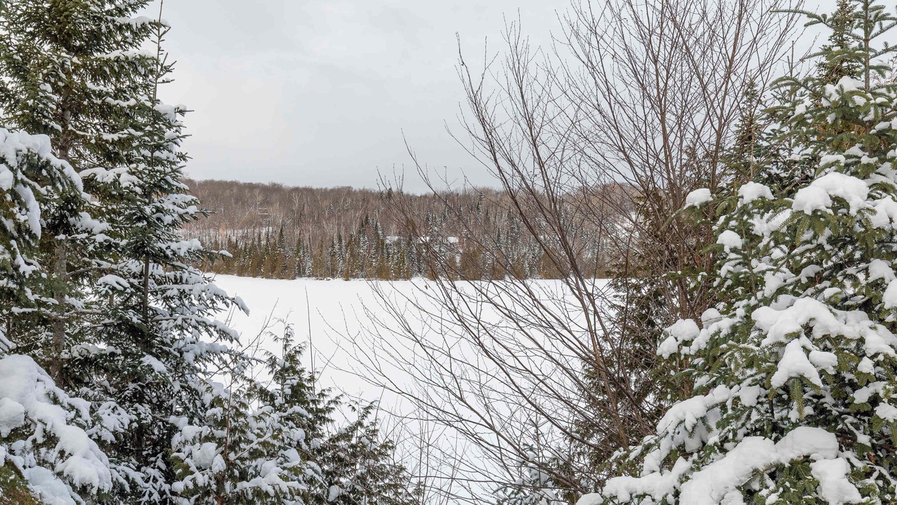 Photo of Others in Sainte-Marguerite-du-Lac-Masson