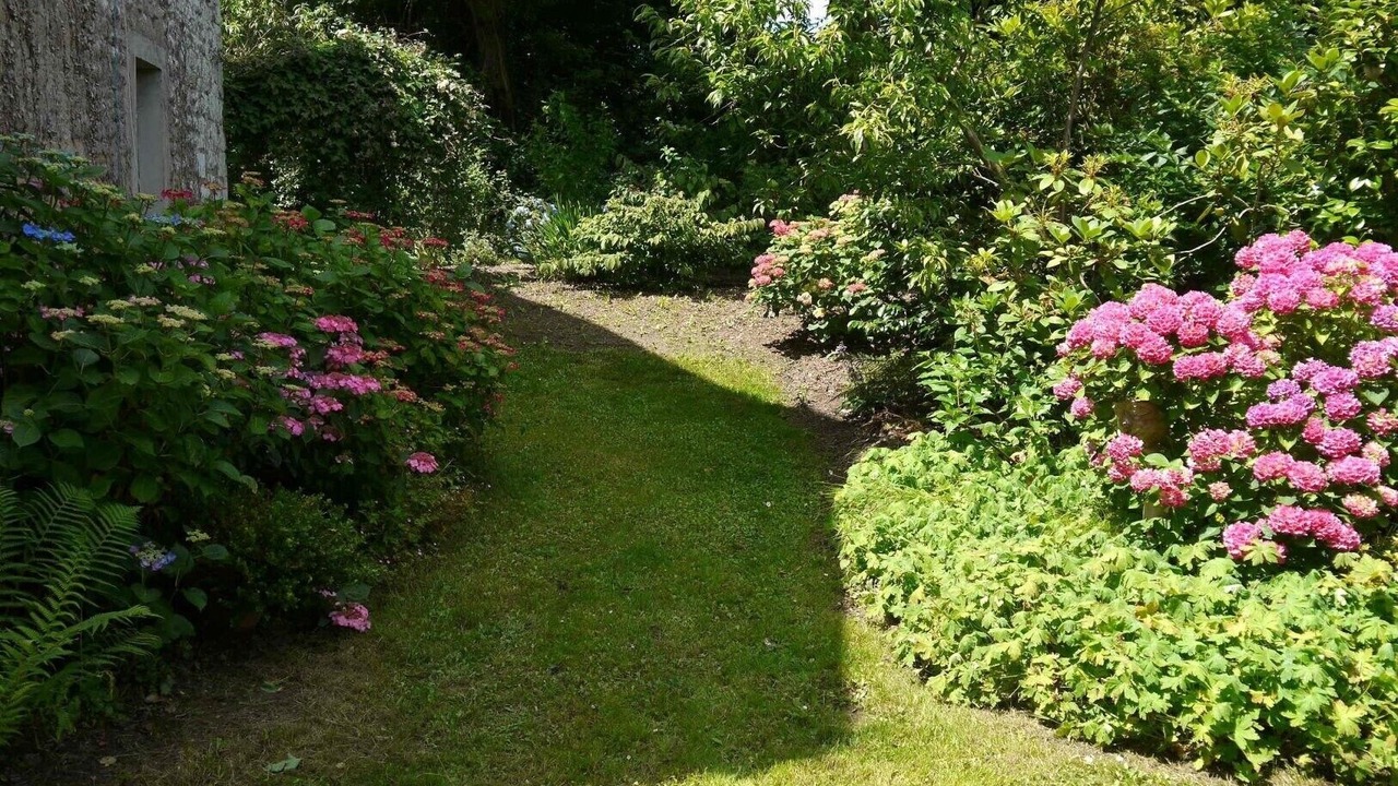 Photo of Outdoor in La Baussaine