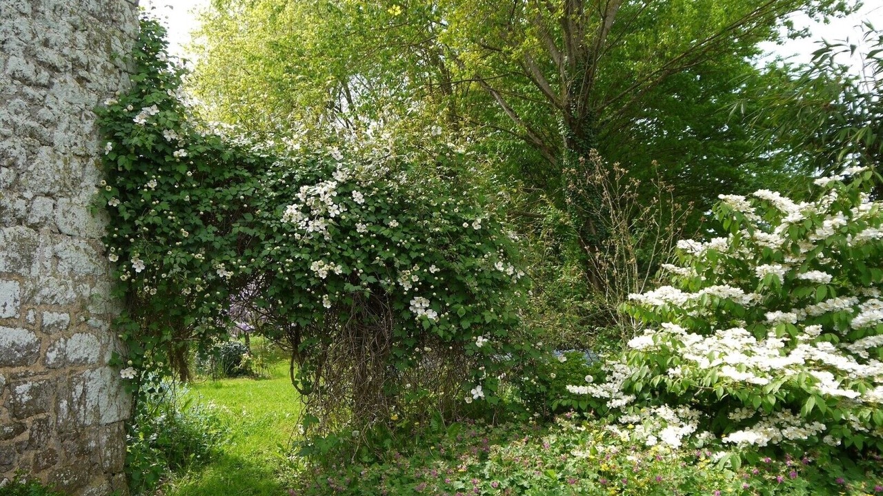 Photo of Outdoor in La Baussaine