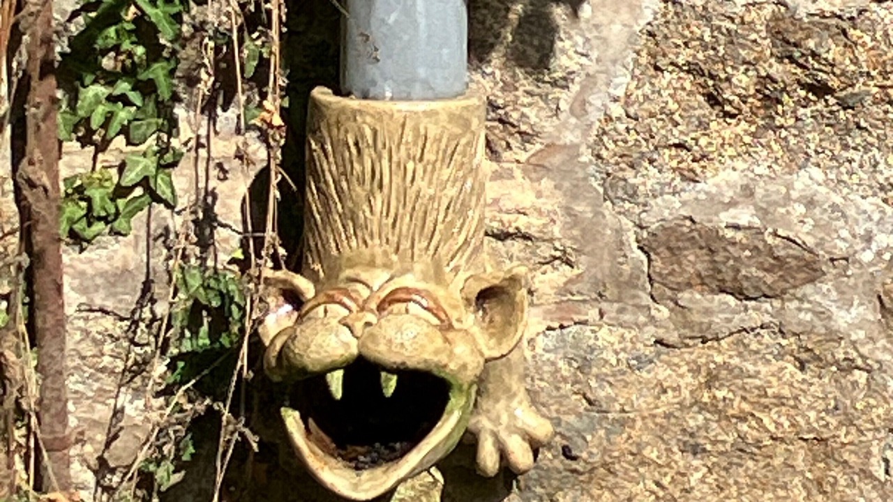 Photo of Outdoor in La Baussaine