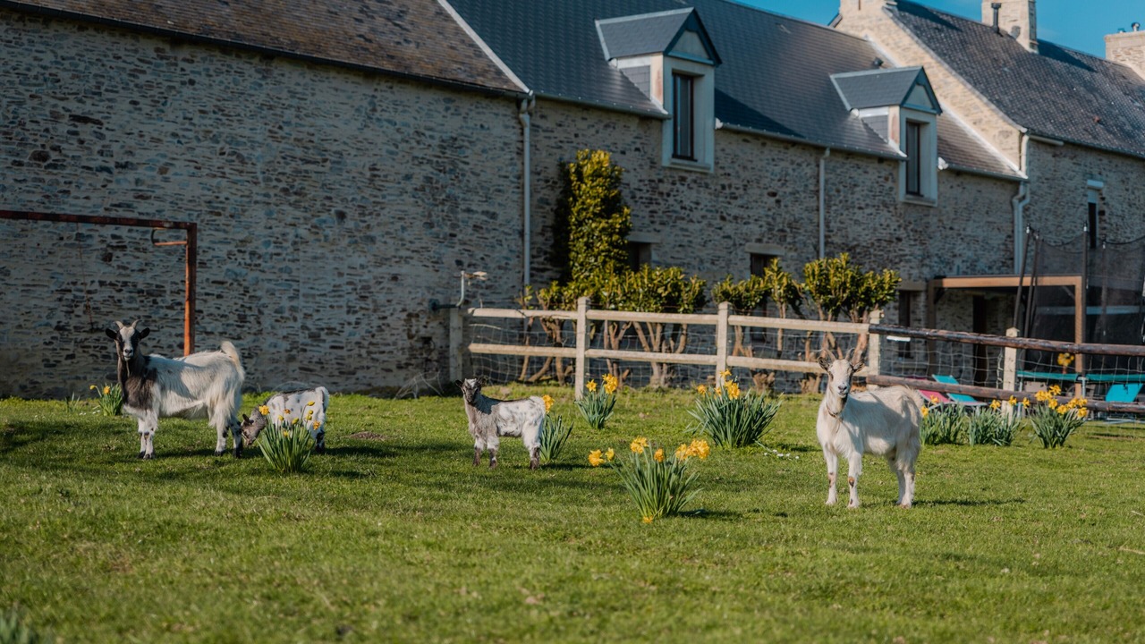 Photo of Outdoor in Cahagnolles