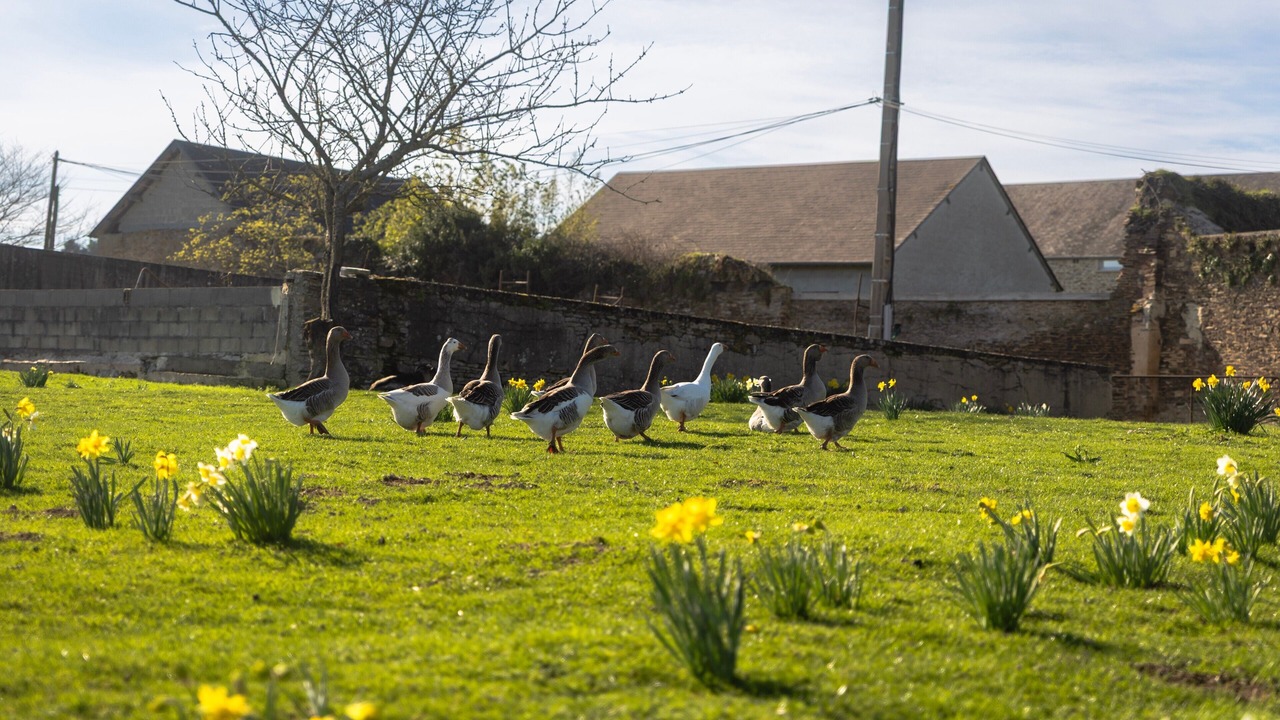 Photo of Outdoor in Cahagnolles