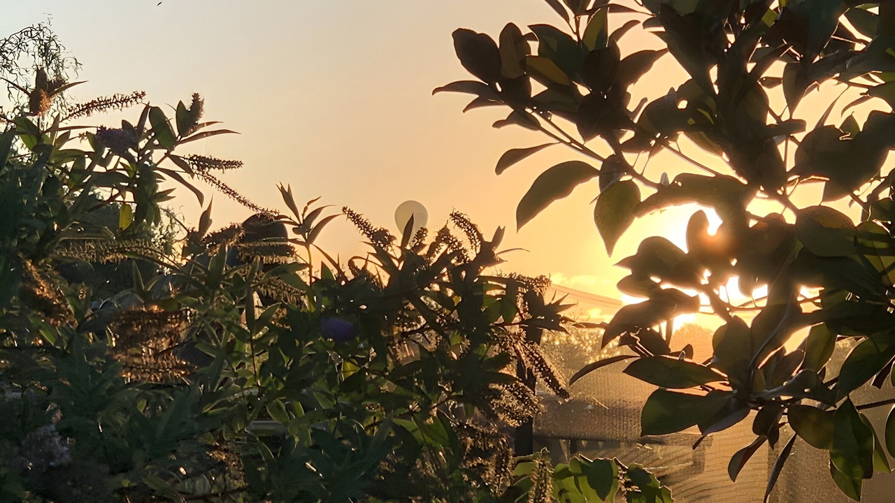 Photo of Others in Saint-Guinoux