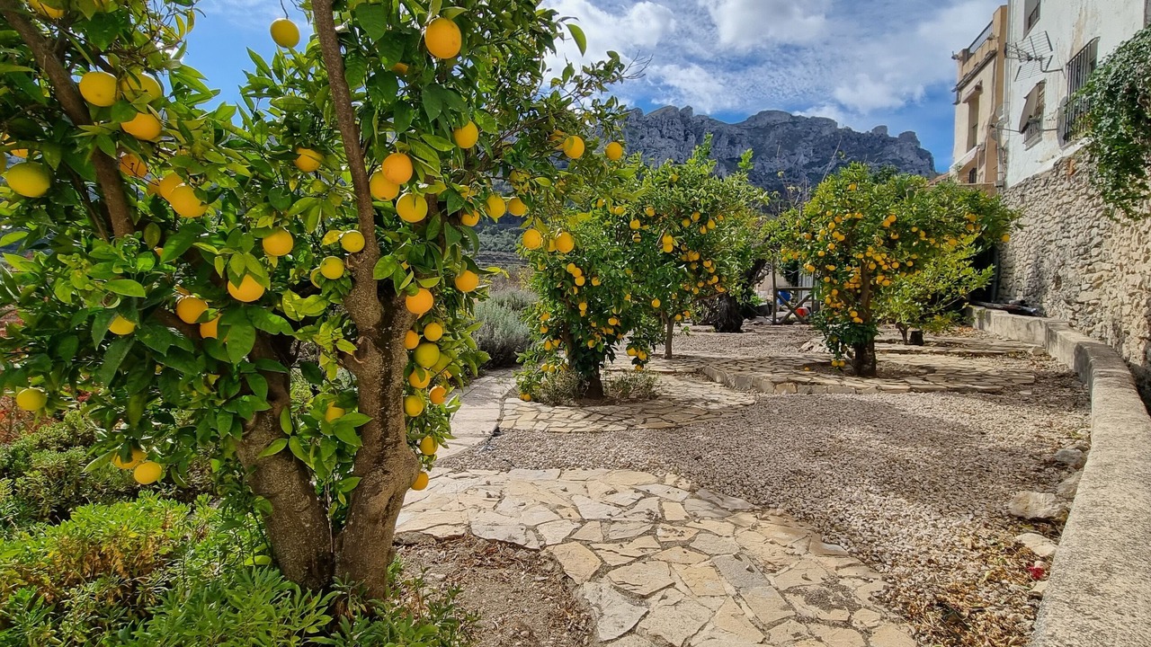 Photo of Outdoor in Benissili