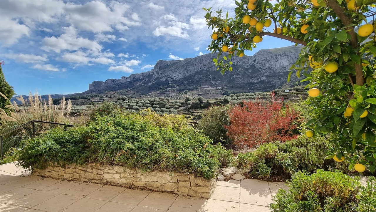 Photo of Outdoor in Benissili
