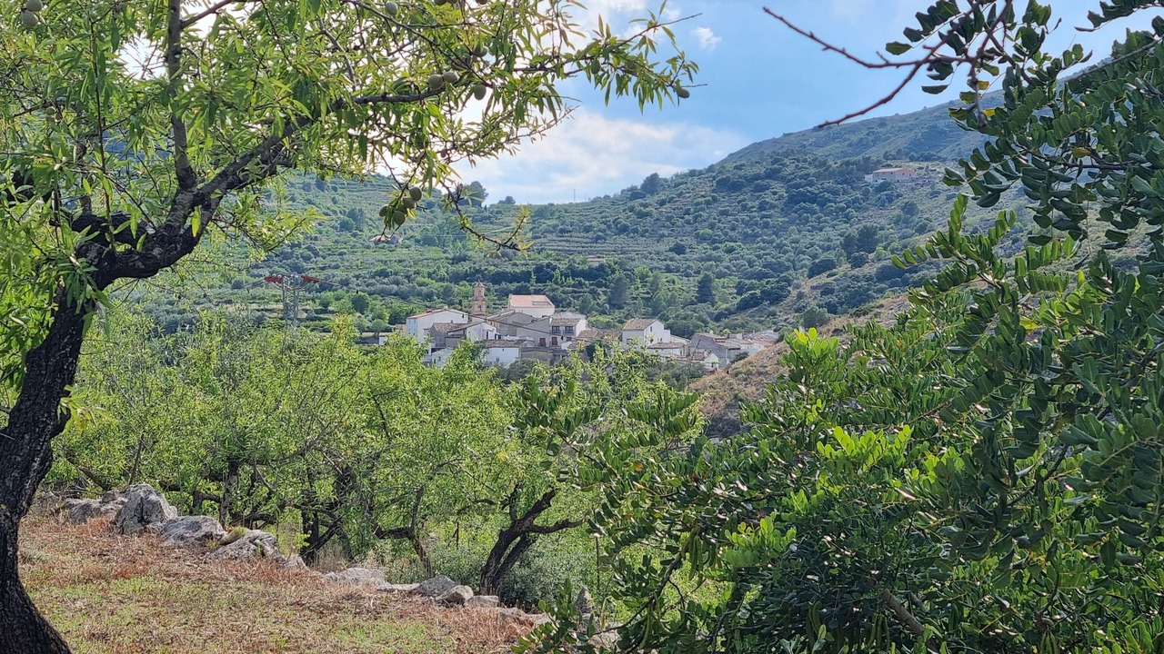 Photo of Others in Benissili