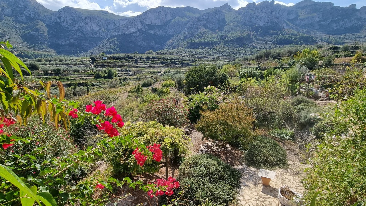 Photo of Others in Benissili