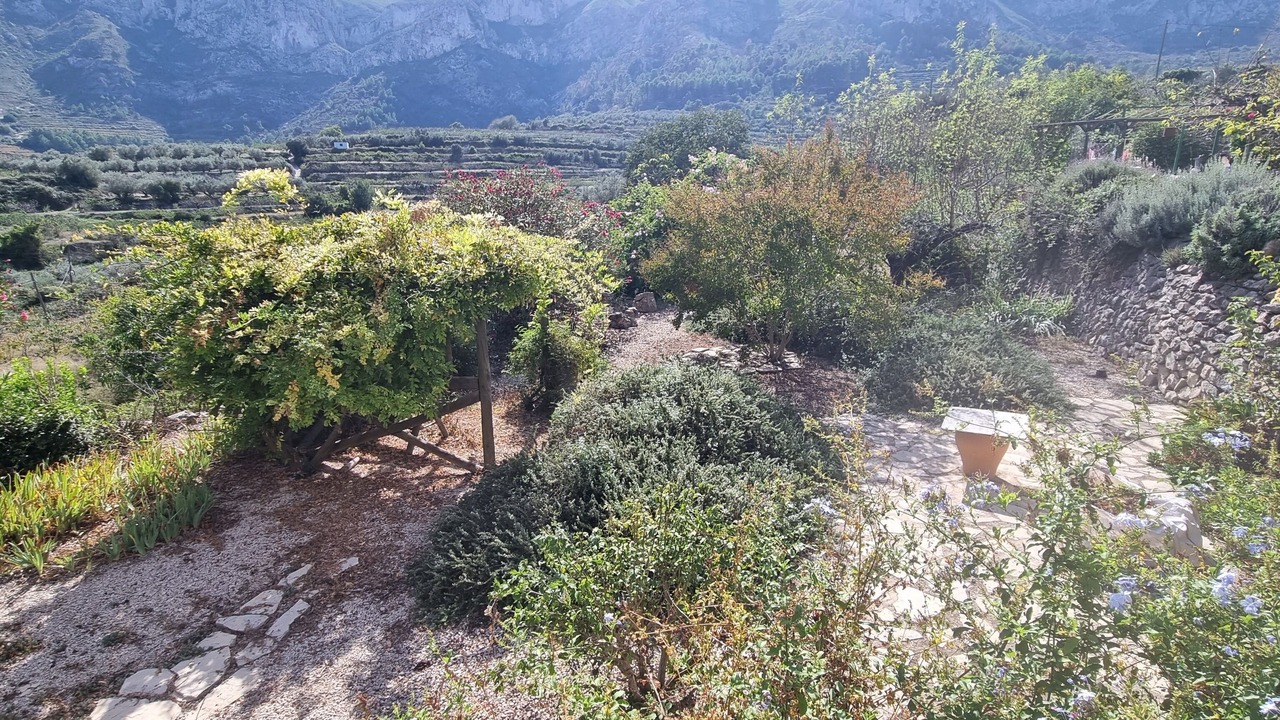 Photo of Others in Benissili