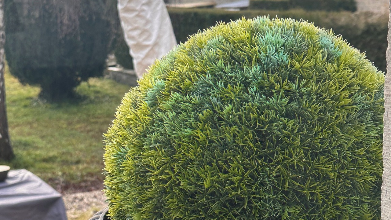 Photo of Outdoor in Montigny-sur-Aube