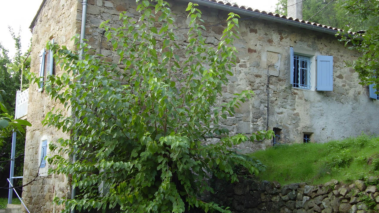 Photo of Outdoor in Corbes