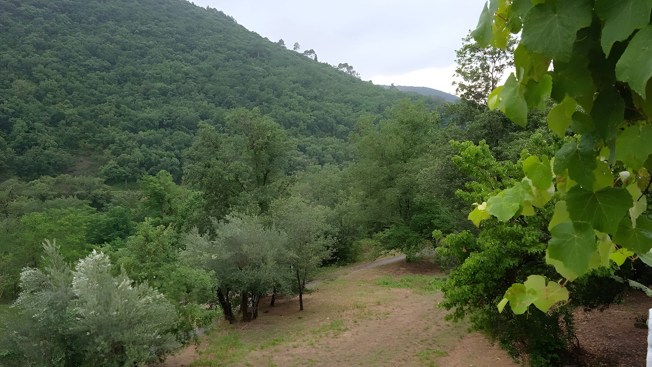 Photo of Others in Corbes