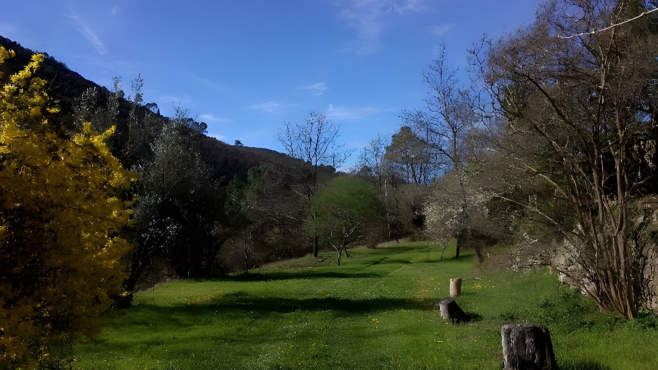 Photo of Others in Corbes