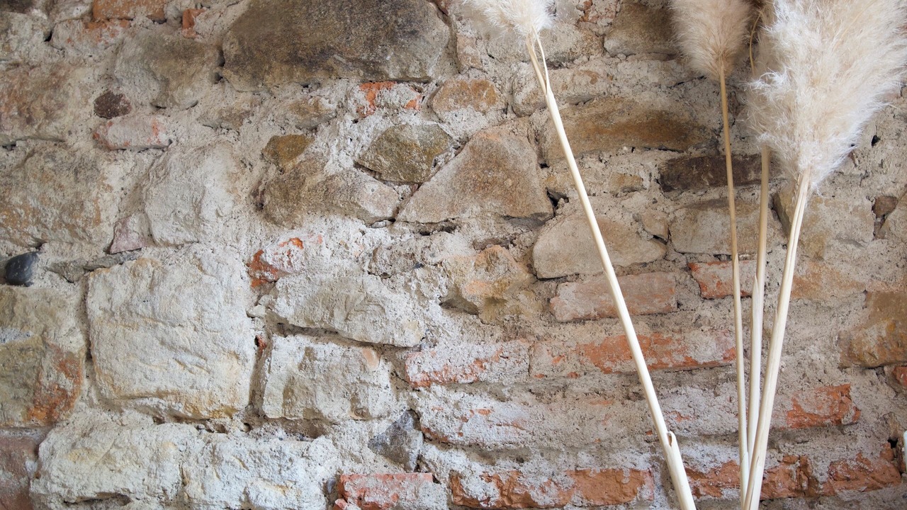 Photo of Others in Colmar Centre Ville