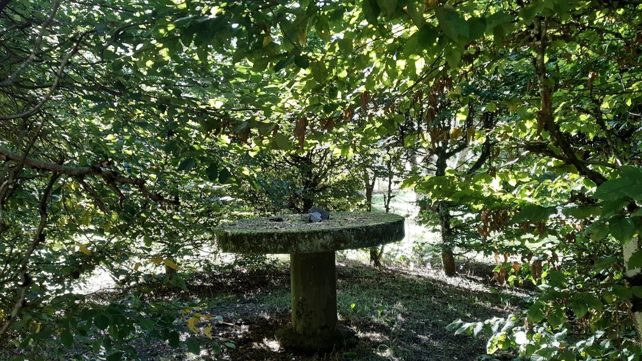 Photo of Others in Tortebesse