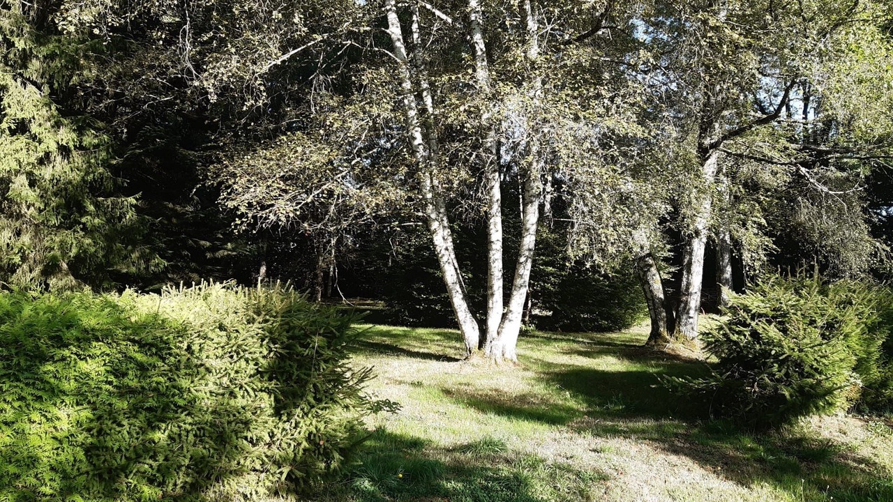 Photo of Outdoor in Tortebesse