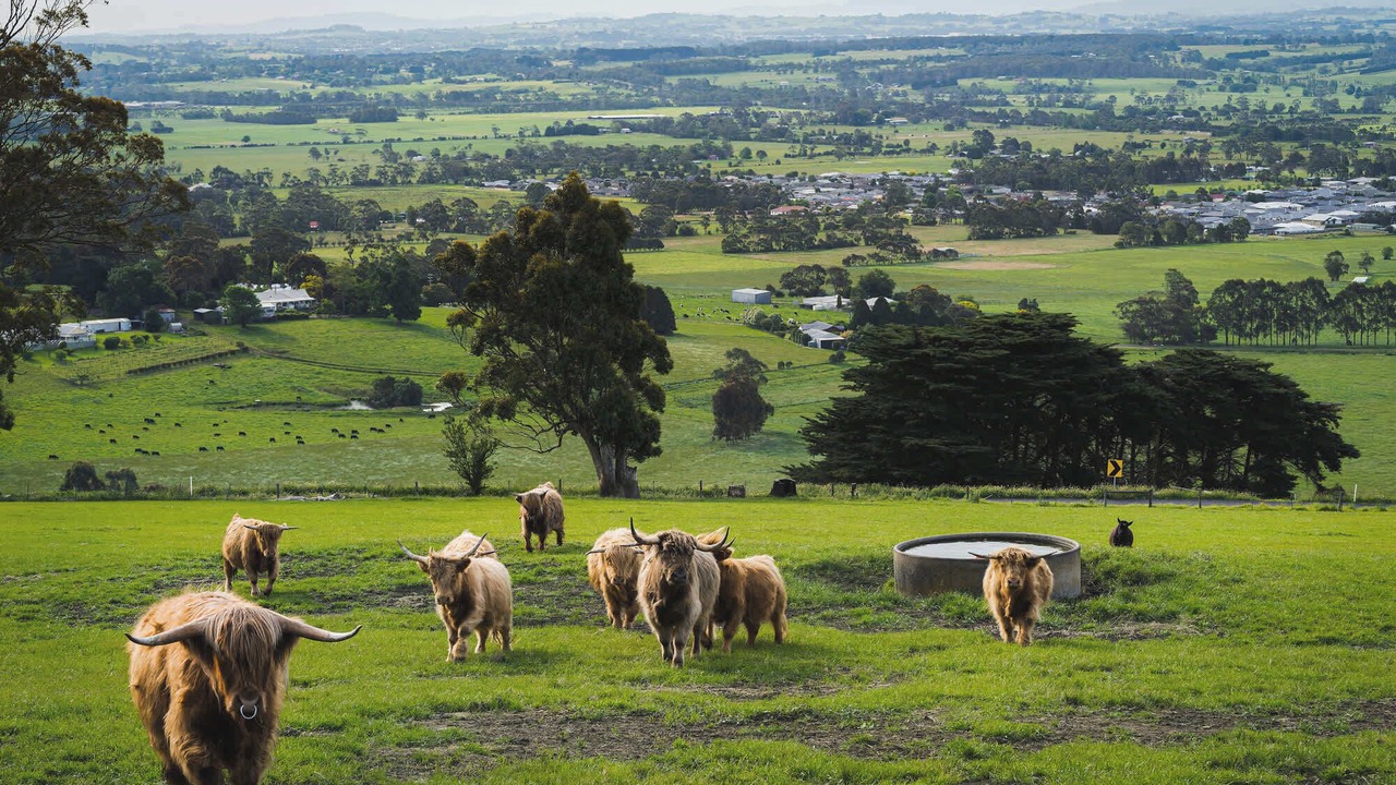 Photo of Others in Yarragon South
