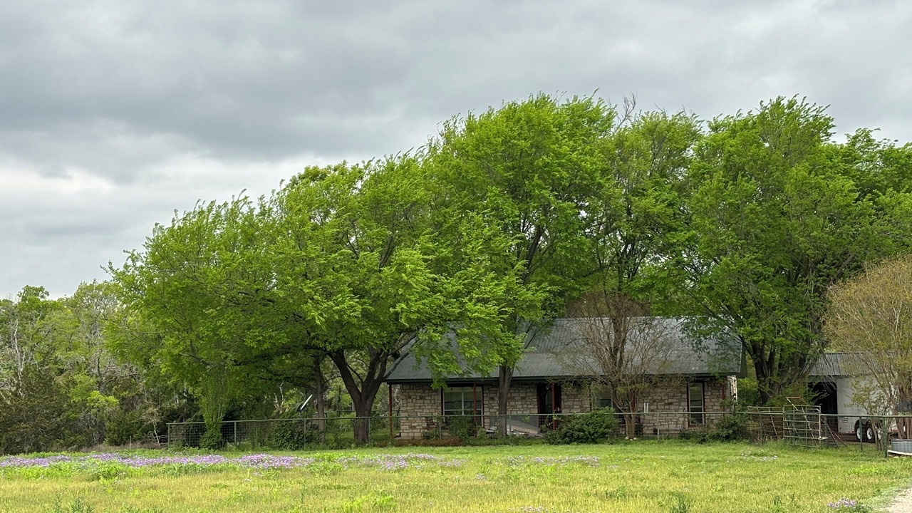 Photo of Outdoor in Oatmeal