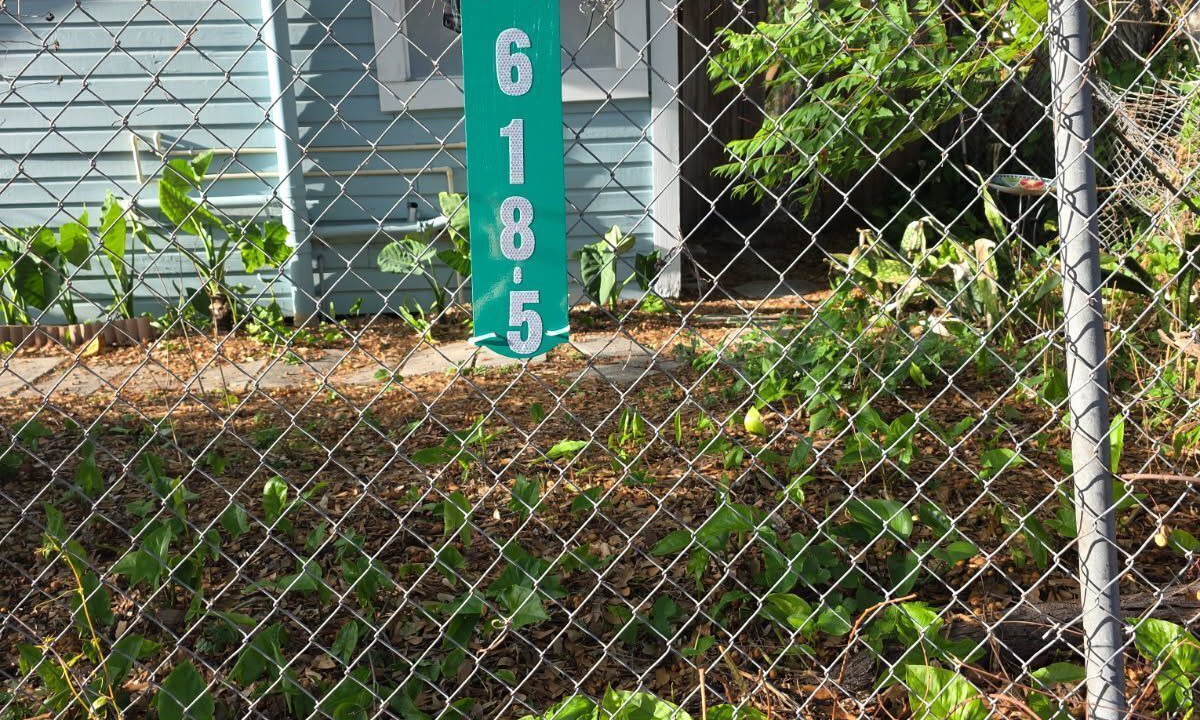 Photo of Outdoor in Dixieland