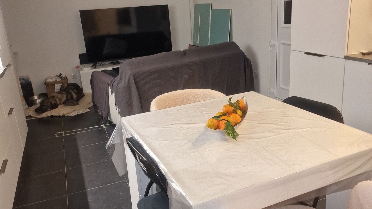 Photo of Others in Macinaggio