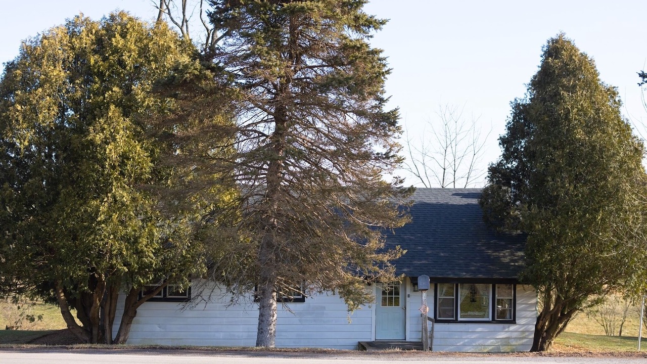 Photo of Others in Allenwood