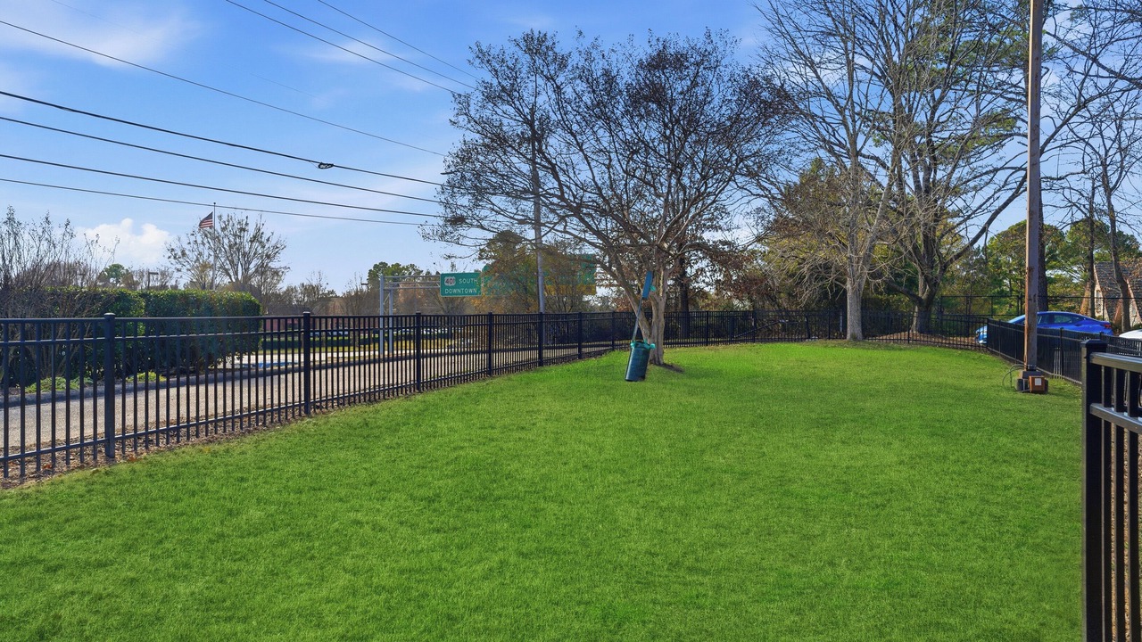 Photo of Outdoor in Northeast Raleigh