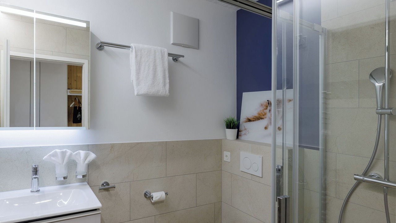 Photo of Bathroom in Engadin Scoul