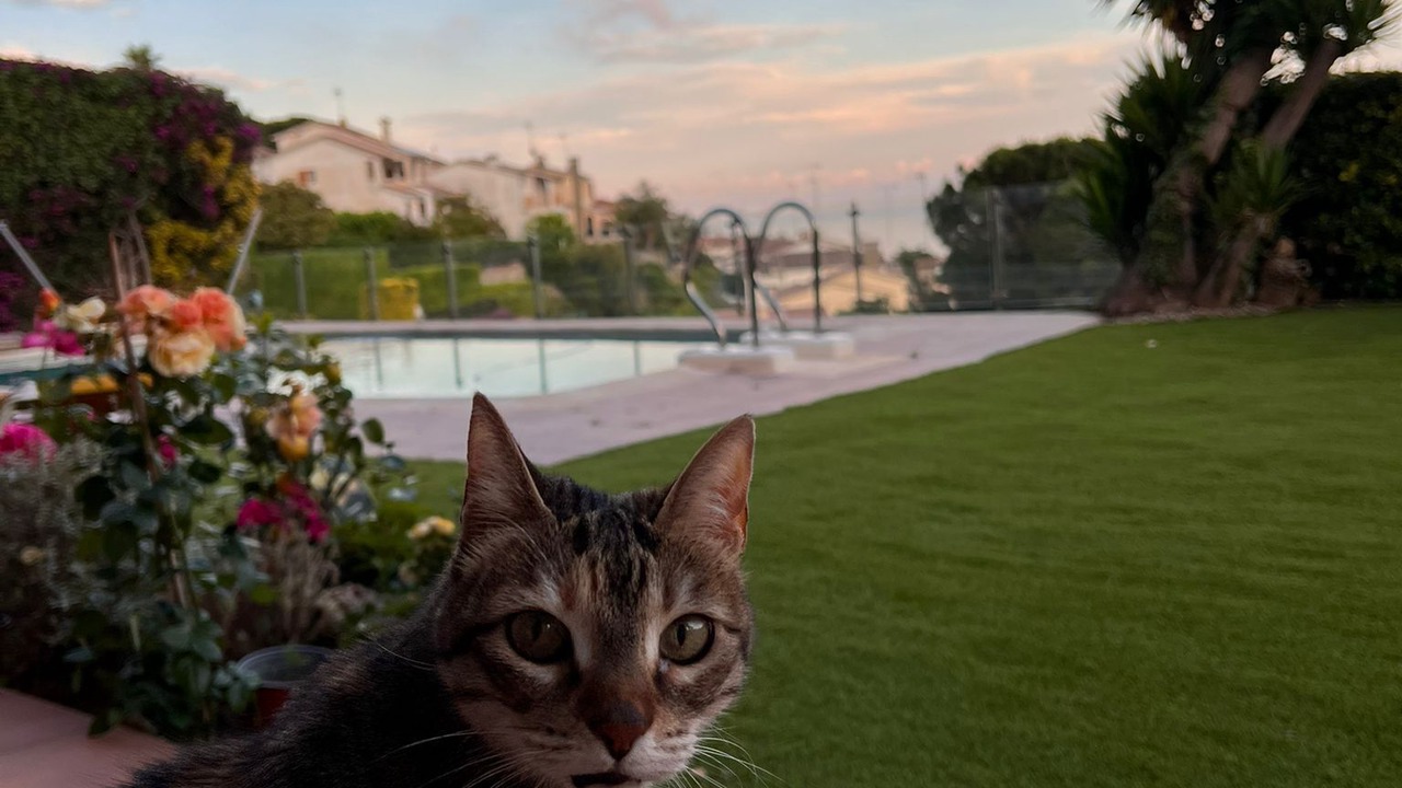 Photo of Outdoor in Vilassar de Dalt