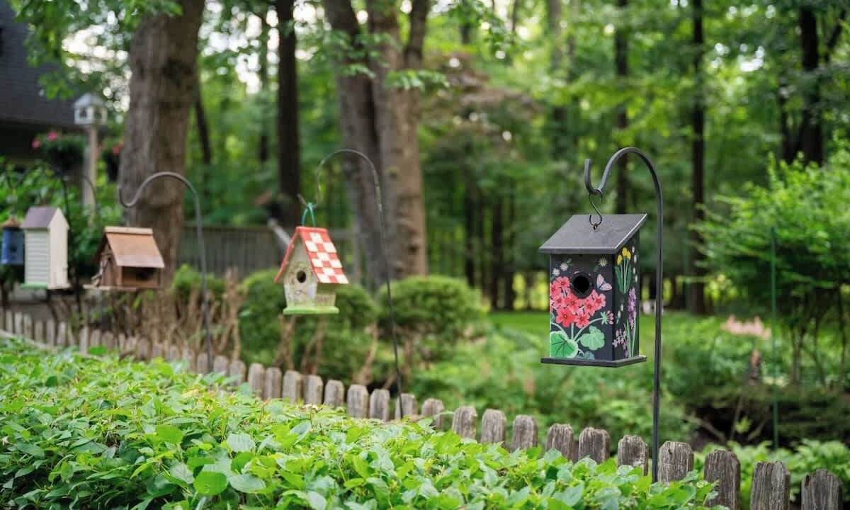 Photo of Outdoor in Anchorage