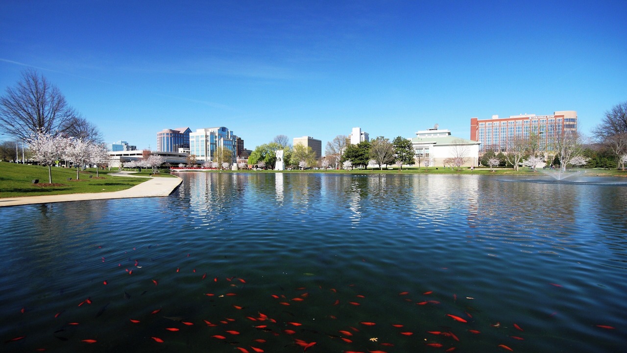 Photo of Others in Athens