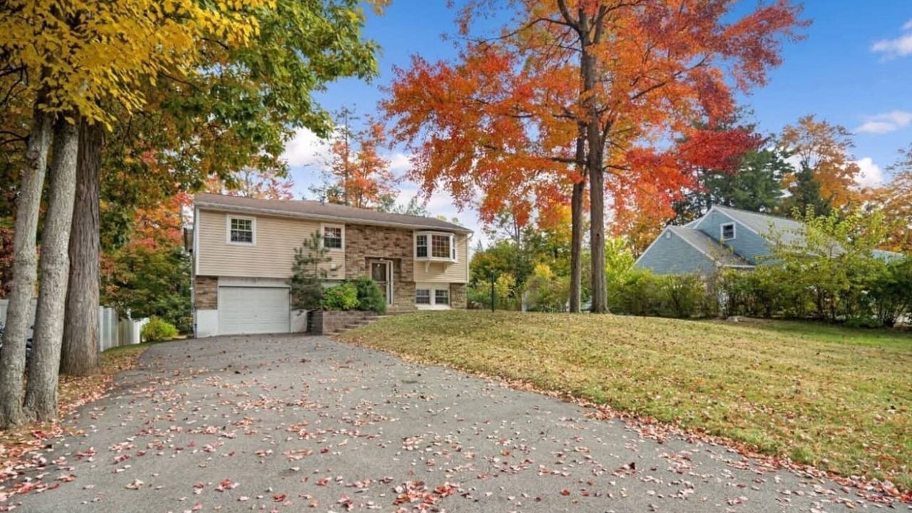 Photo of Outdoor in Latham