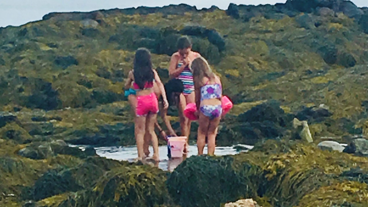 Photo of Others in New Harbor