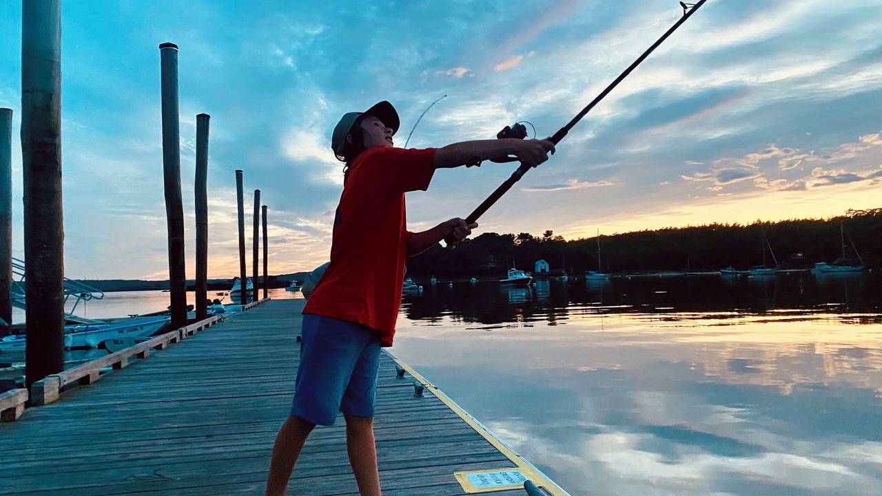 Photo of Others in New Harbor