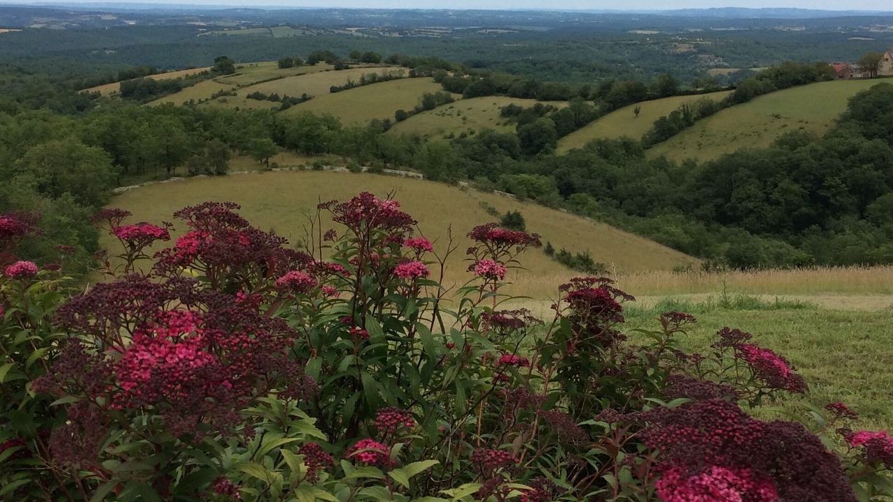 Photo of Others in Laval