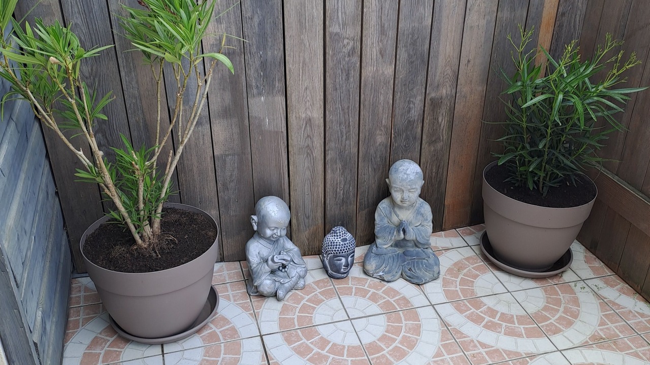 Photo of Outdoor in Equihen-Plage