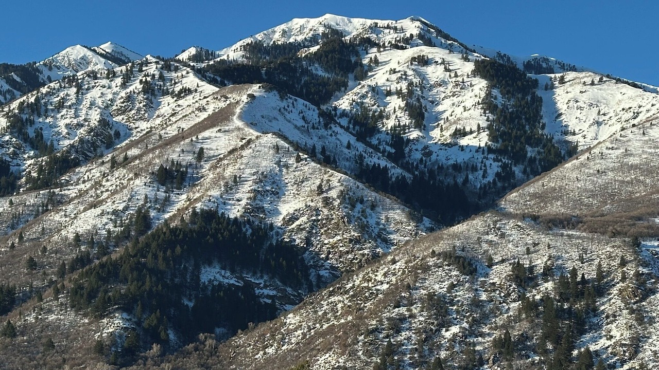 Photo of Others in Mountain Green