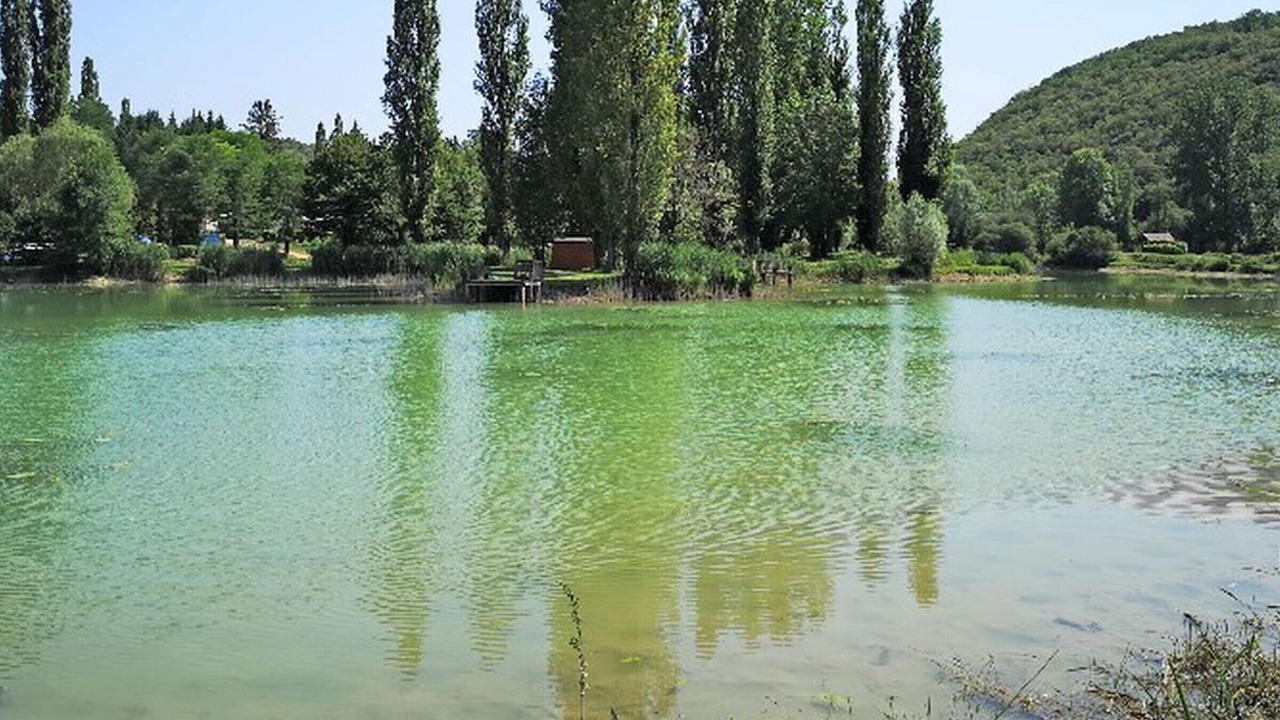 Photo of Others in La Cassagne