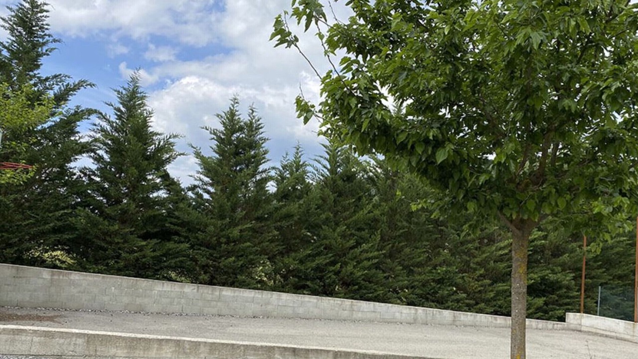 Photo of Others in Saint-Maurice-d'Ibie