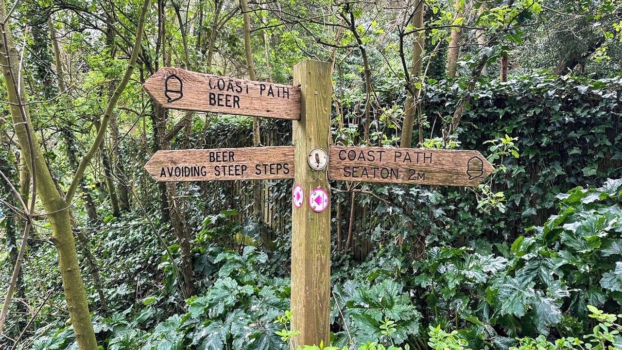 Photo of Others in Beer