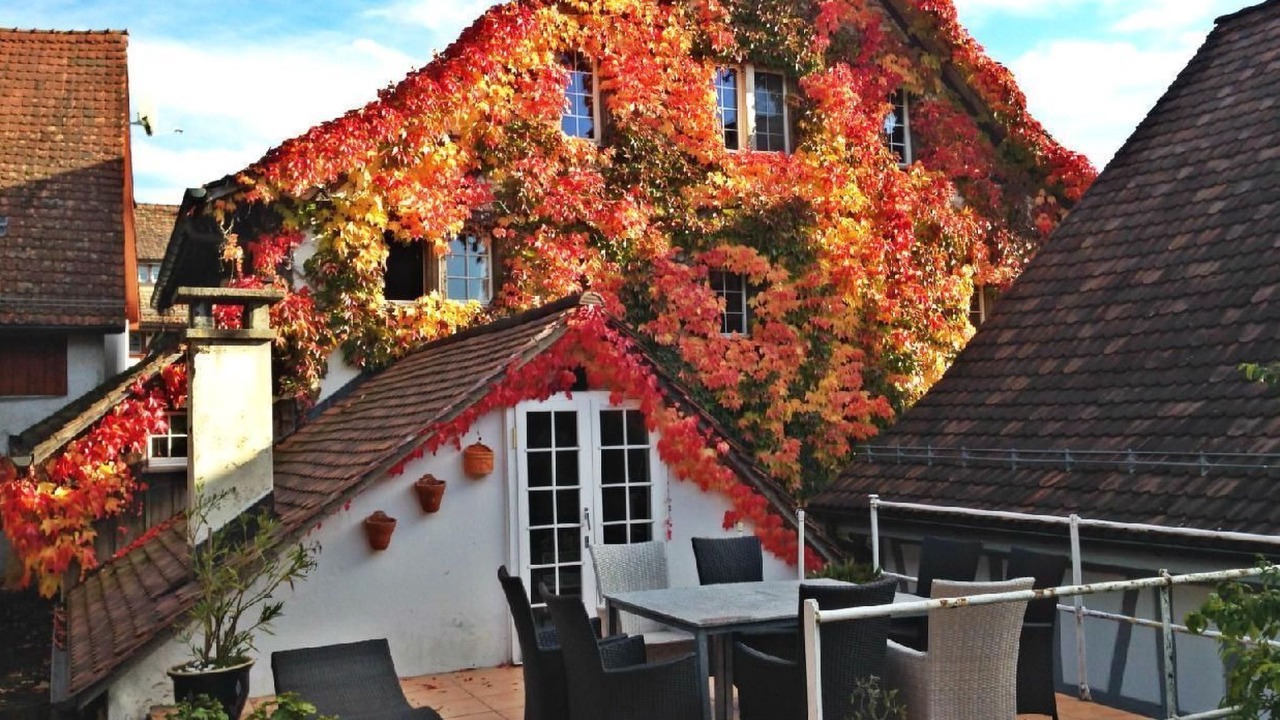 Photo of Outdoor in Andelfingen District