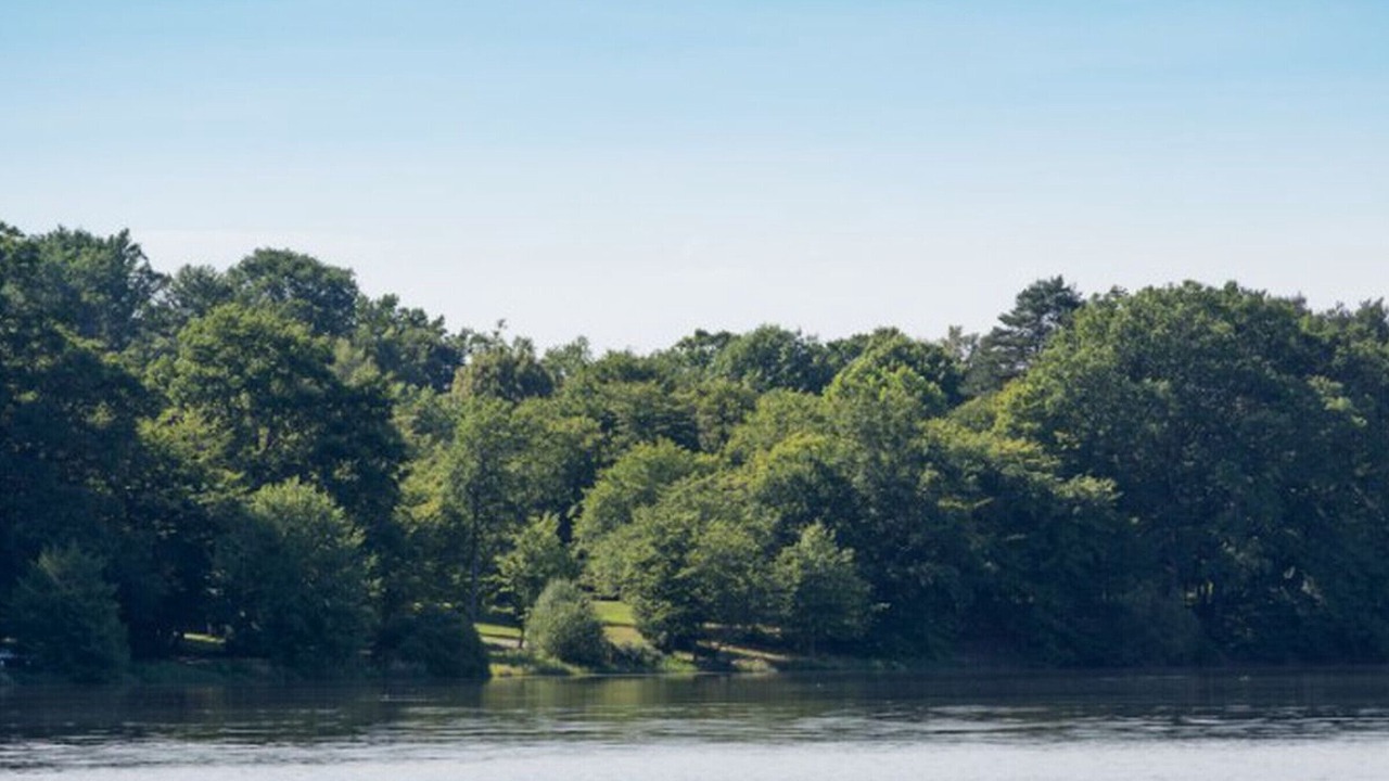 Photo of Others in Isle-et-Bardais