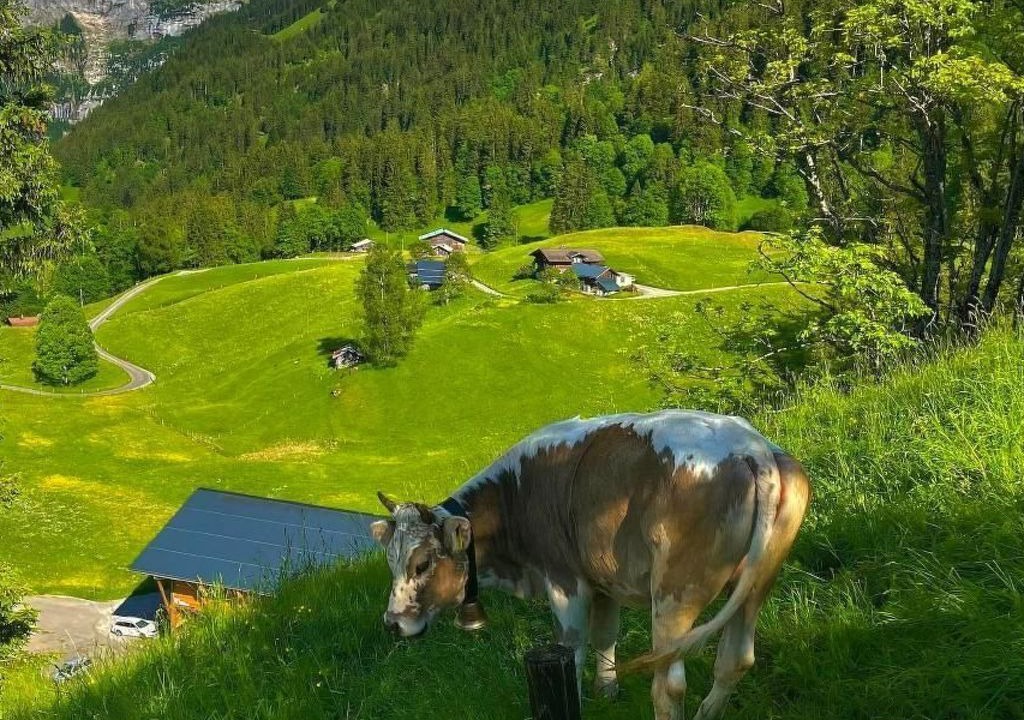 Photo of Others in Grindelwald