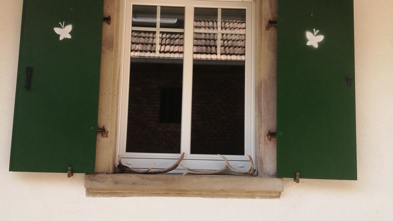 Photo of Outdoor in Ingenheim
