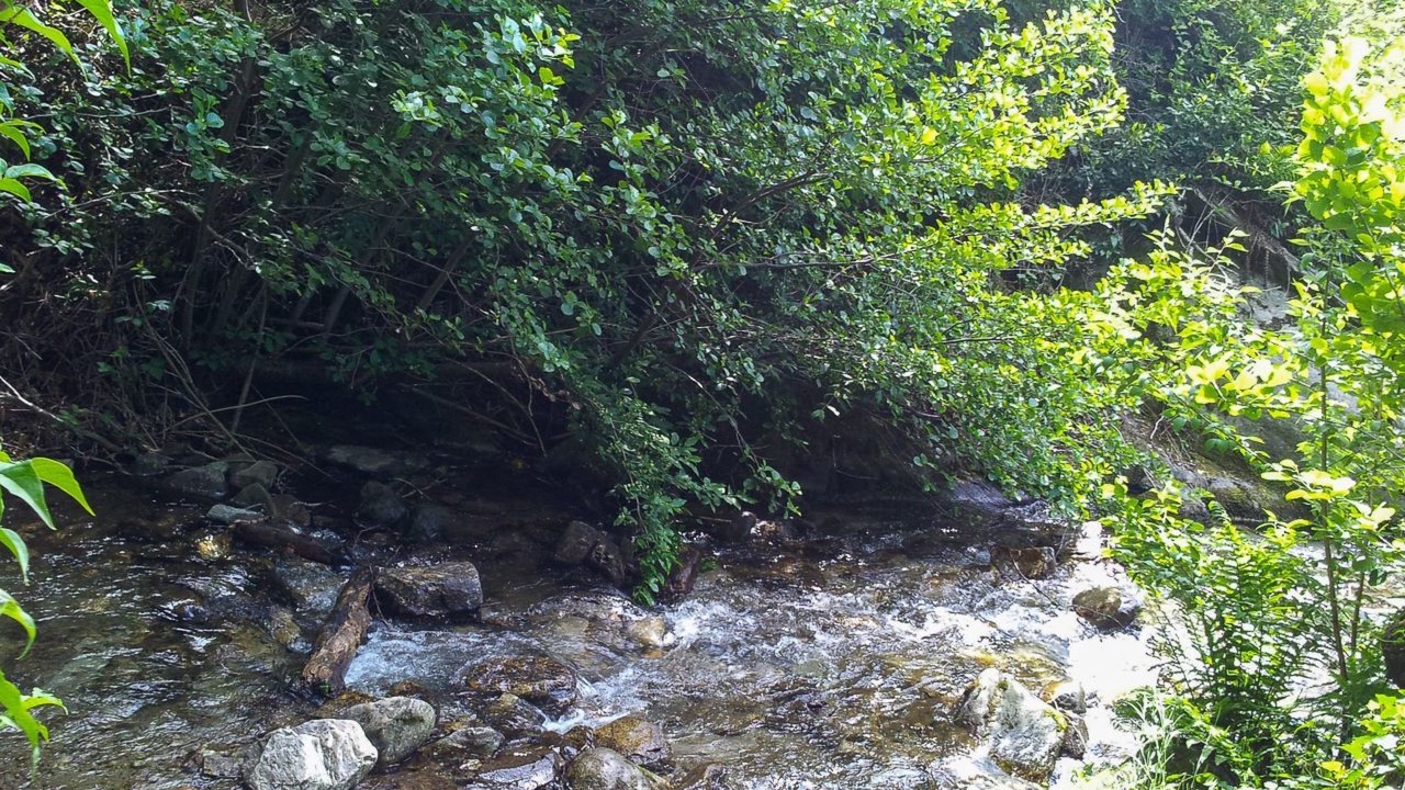 Photo of Others in Brione sopra Minusio