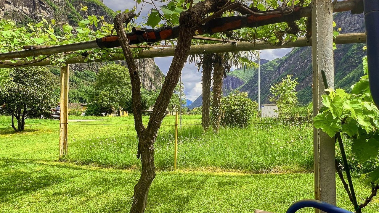 Photo of Outdoor in Foroglio
