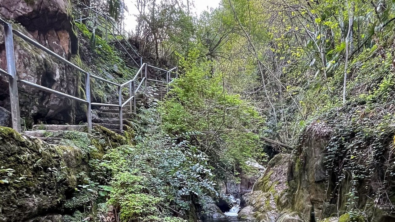 Photo of Others in Brissago