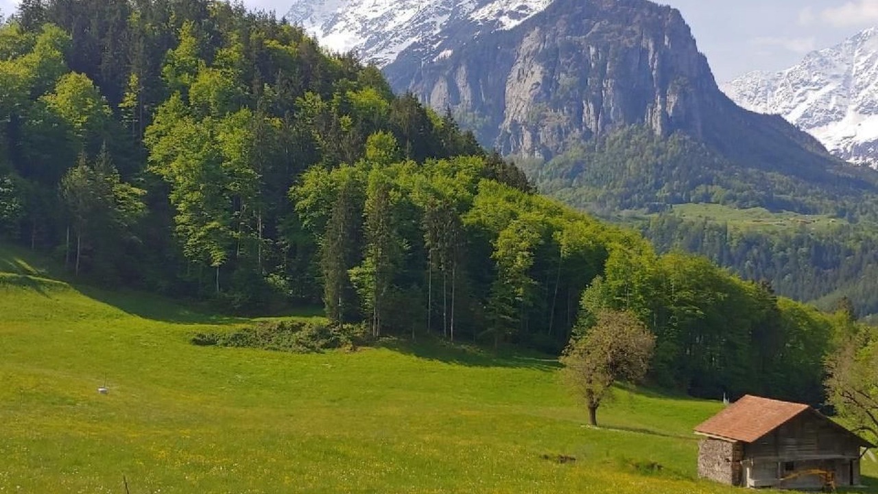 Photo of Others in Wiler